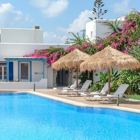 Aggeliki'S Diamond Aparthotel Agia Anna  Phòng bức ảnh