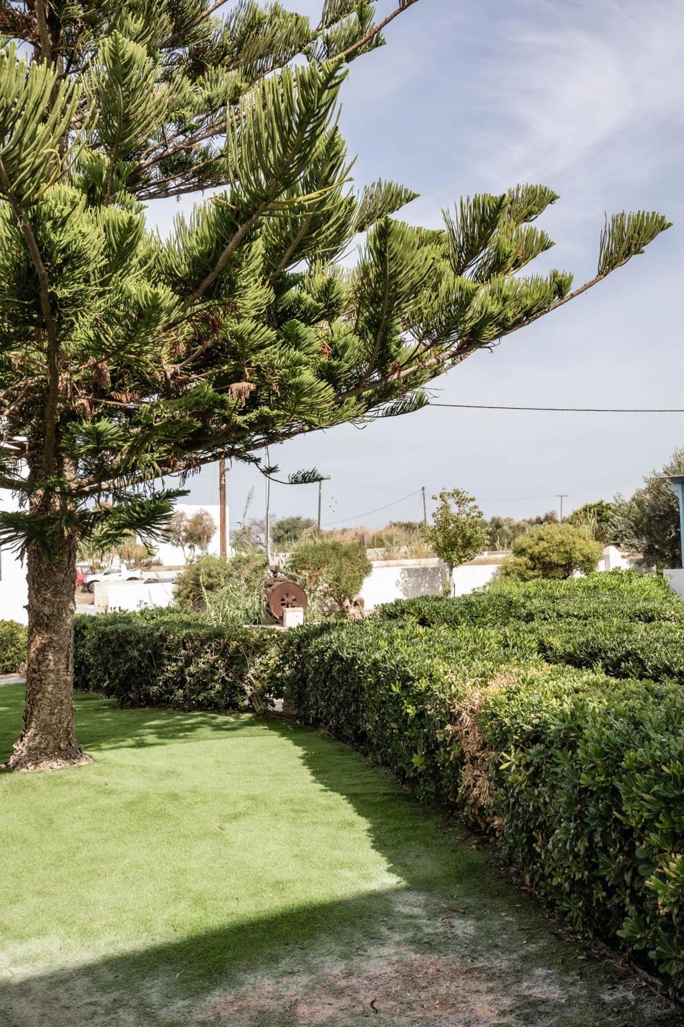 Aggeliki'S Diamond Aparthotel Agia Anna  Ngoại thất bức ảnh