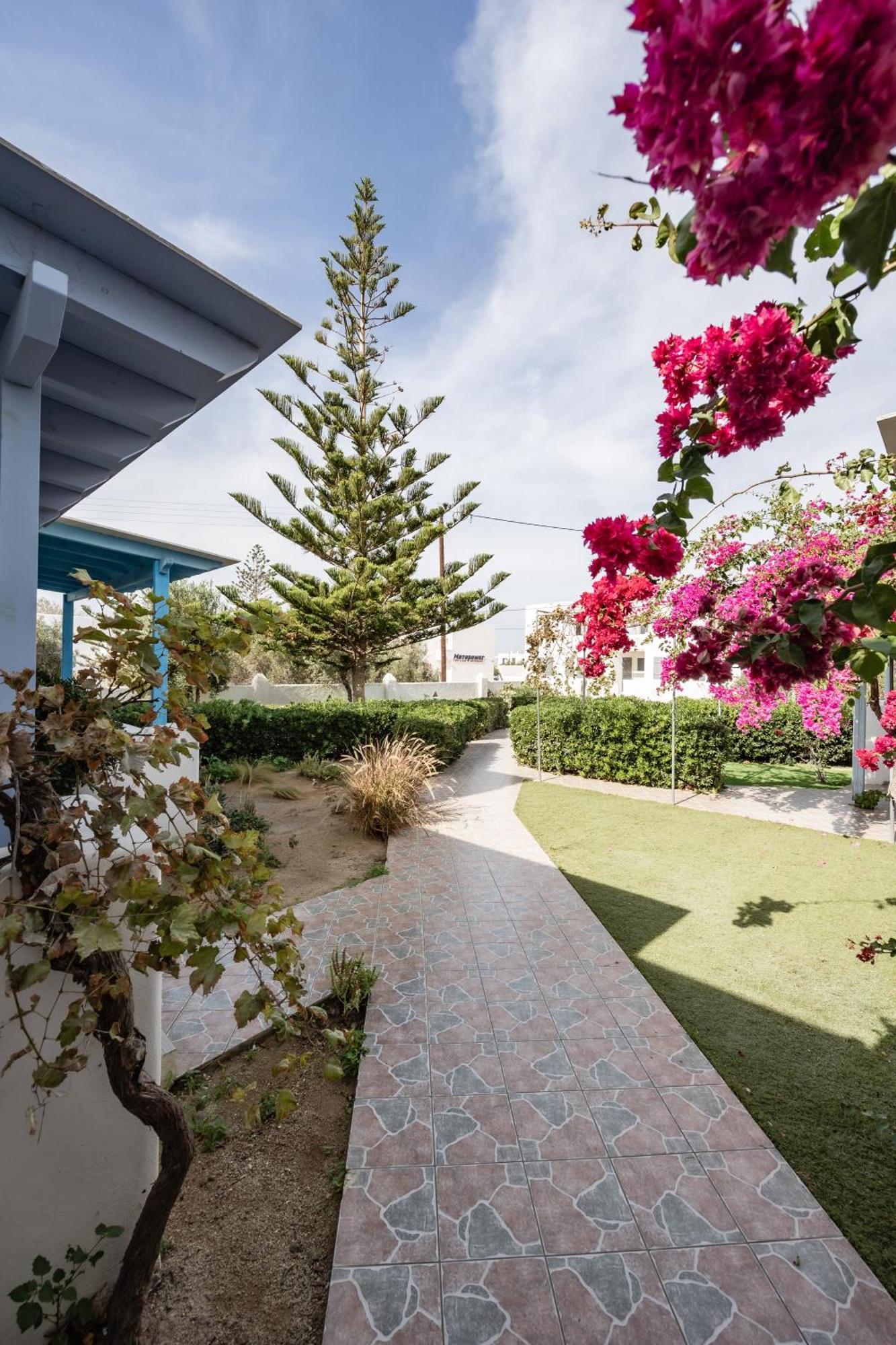 Aggeliki'S Diamond Aparthotel Agia Anna  Ngoại thất bức ảnh